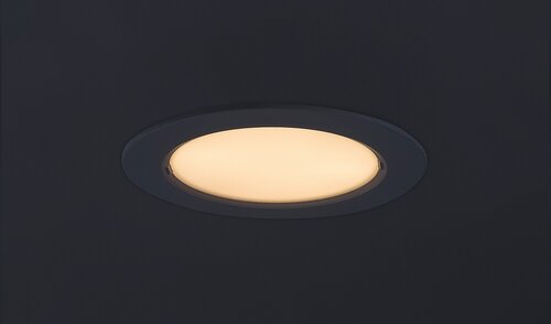 Shaun2 (71217)