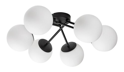 Meduza (71294)