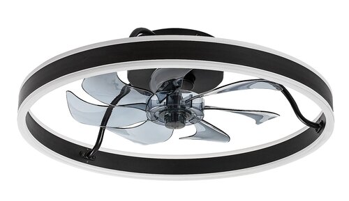 Fanfy (71337)