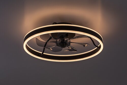 Fanfy (71337)