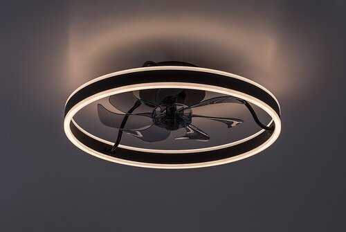 Fanfy (71337)