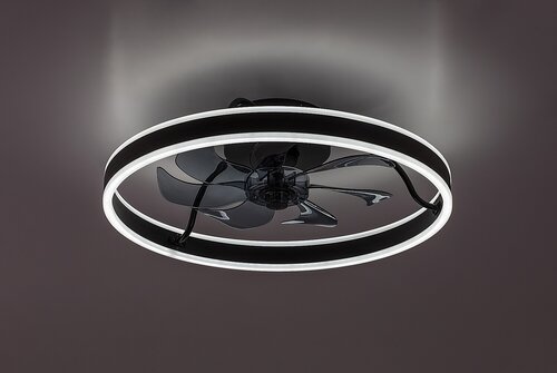 Fanfy (71337)
