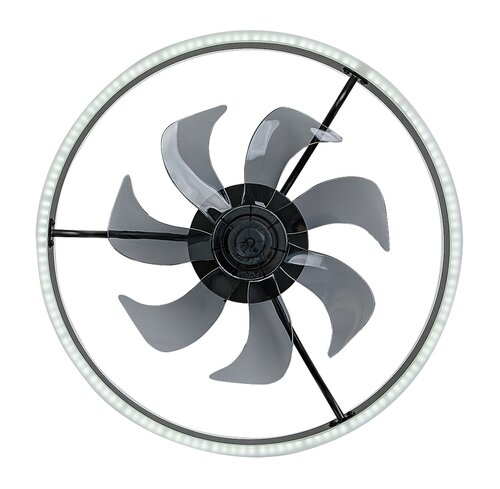 Fanfy (71337)