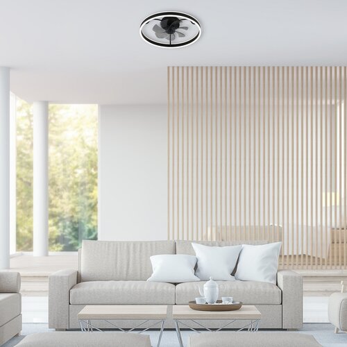 Fanfy (71337)