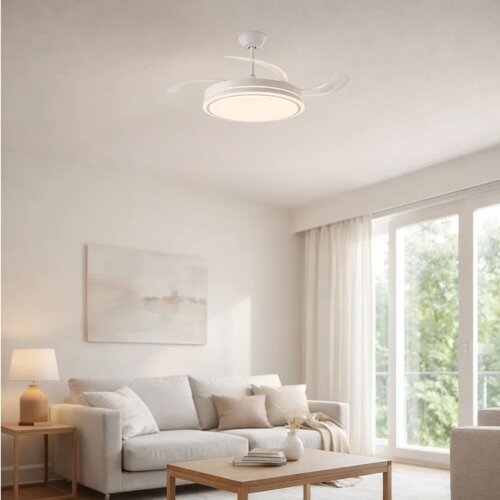 Fluara (71364)