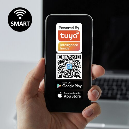 Temperius (72011)